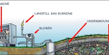 gascollection labeled
