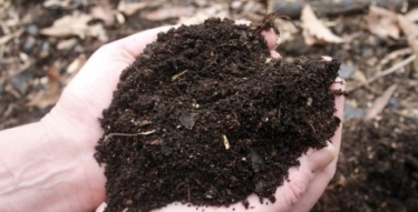 compost mulch