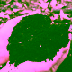 compost mulch 80x80 jpg