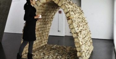 Philip Ross Mycotecture 1 537x393