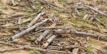 9624705748 0ed4cbd20d z