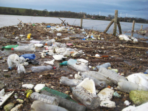 Recycled-Island-Detritus