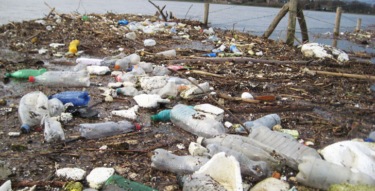 Recycled Island Detritus