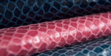 pinatex pineapple 1 537x402