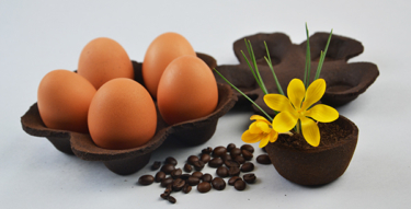 d982daf8c22258614c8f35874c77d55f