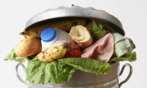 food-waste-bin.jpg.662x0_q70_crop-scale