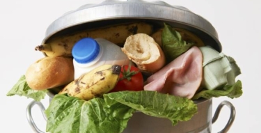 food waste bin.jpg.662x0 q70 crop scale