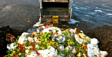 Food waste main