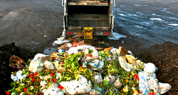 Food waste main