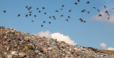 4677188339 f10a863742 z