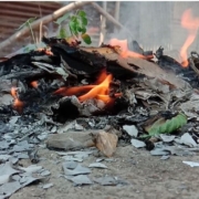 burning waste final