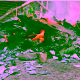 burning waste final 80x80 jpg