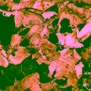 af776886 0318 4786 9b95 762a4a62b99c 180x180 jpg