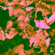 af776886 0318 4786 9b95 762a4a62b99c 80x80 jpg