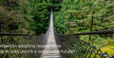 Screenshot 2024 06 13 142235