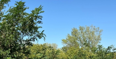 WhatsApp Image 2024 09 07 at 10.39.39