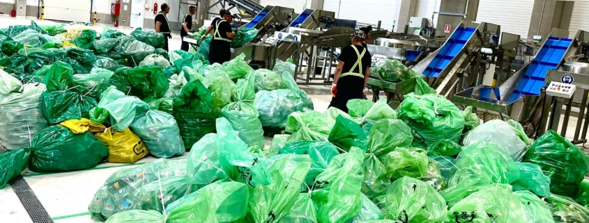 WhatsApp Image 2024 09 23 at 16.46.10