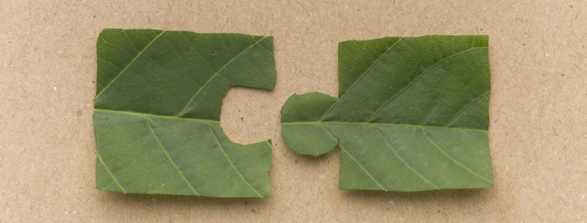 Achiziții verzi: între eficiență economică și responsabilitate ecologică – HG nr. 427/2025