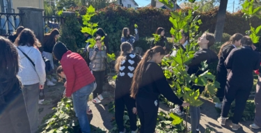 Cum poate organiza o școală o activitate de plantare