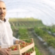 portrait male farmer holding freshly harvested strawberry fruit field 1