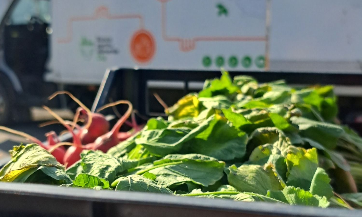 Risipa alimentară în România. Obligațiile legale pentru operatorii economici