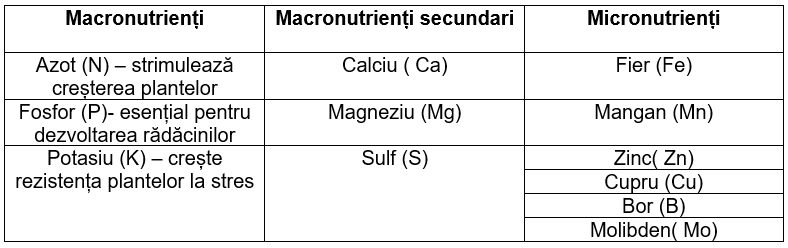 Screenshot 2026 04 03 124939