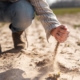 hand holding sand rural lifestyle Monitorizarea sănătății solului în UE și implicațiile noului cadru legislativ pentru România