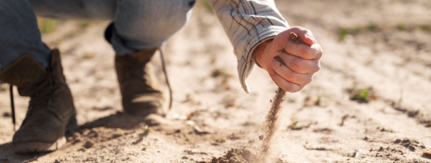 Monitorizarea sănătății solului în UE și implicațiile noului cadru legislativ pentru România